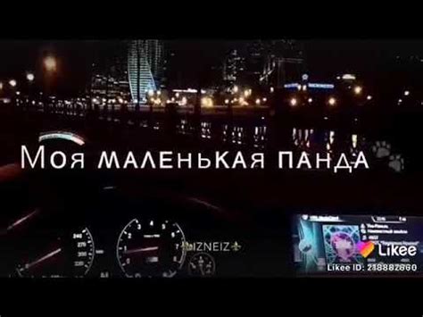 Моя ты панда🐼Моя ты пропаганда🌚 - YouTube