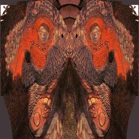 Argonian Textures For Roberts HGEC And OCO Request Find Oblivion Adult Sex Mods