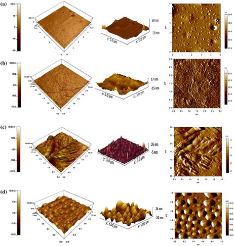 D Afm Micrograph Of Pla Thin Films A Unetched B Etched In Benzene For