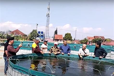 Pelatihan Di Balai Besar Budidaya Air Tawar Sukabumi Sekertaris Jiroat