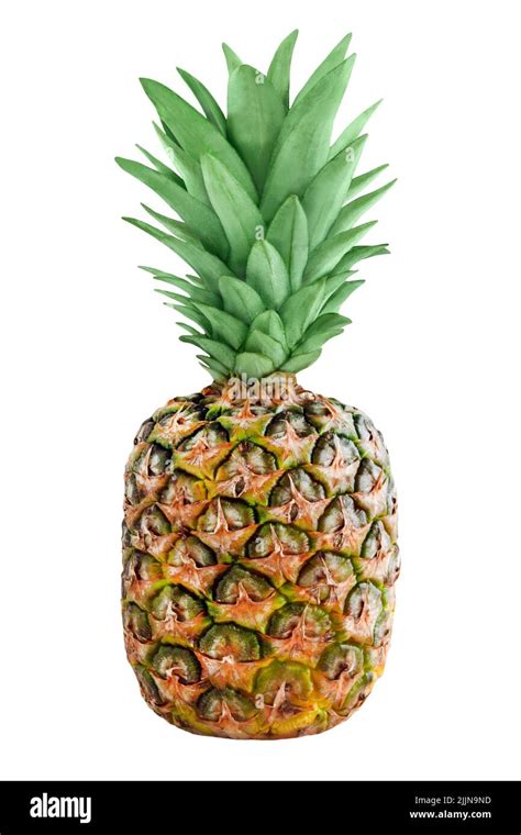 Pineapple Isolated On White Background Stock Photo Alamy