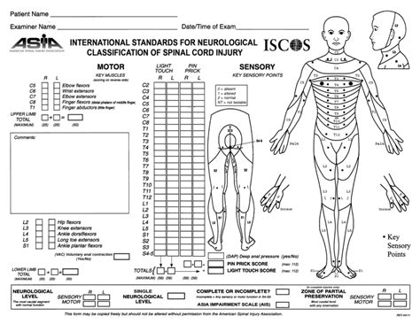 International Standards For Neurological Classification Of Spinal Cord