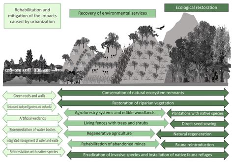 Landscape Restoration Indicating The Areas Where The Rehabilitation And