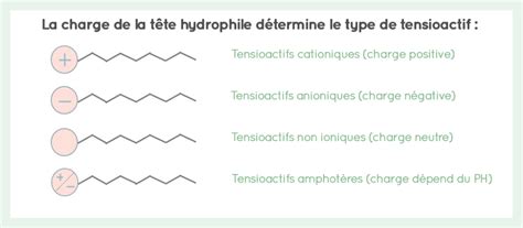 Le Point Sur Les Tensioactifs Kaolin Cosmetiques