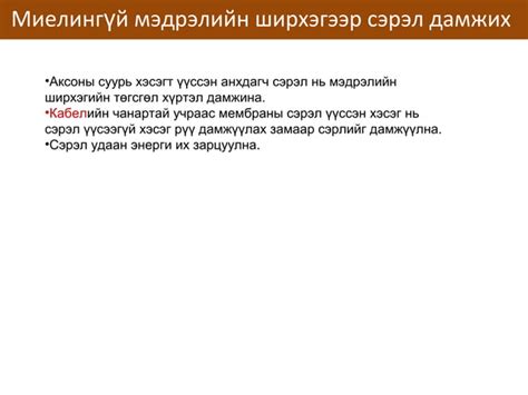 сэрэмтгий эсийн физиологи | PPT