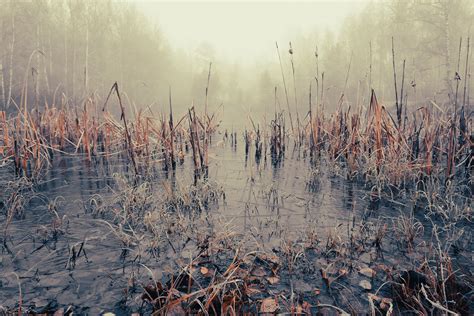 Говорит и показывает... on Behance