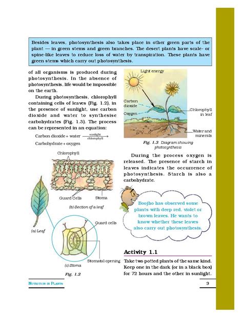 Nutrition In Plants Full Chapter Class 7 Science Ncert Science Class 7