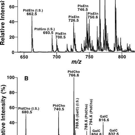 Representative Esi Mass Spectra Of Lipid Extracts From Wildtype Mouse