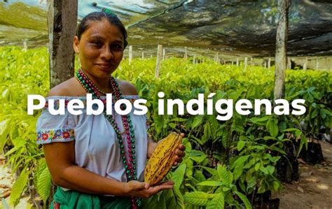 Una Agricultura Con Reconocimiento A Los Pueblos Originarios