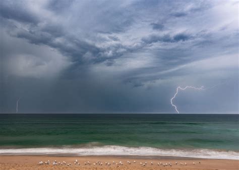 Seagull God Anton Gorlin Landscape Photography