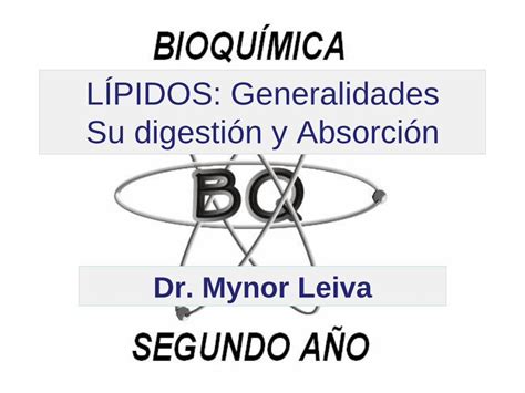 PDF LÍPIDOS Generalidades Su digestión y Absorción PDF fileLÍPIDOS