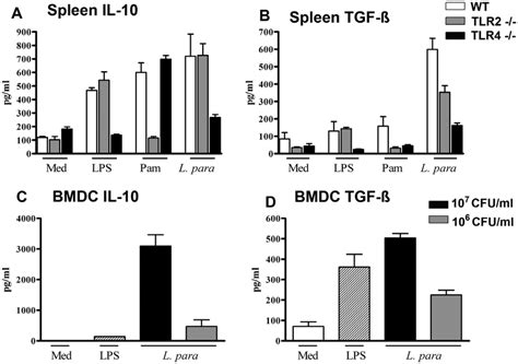 L Paracasei Mediates The Production Of Regulatory Cytokines Through