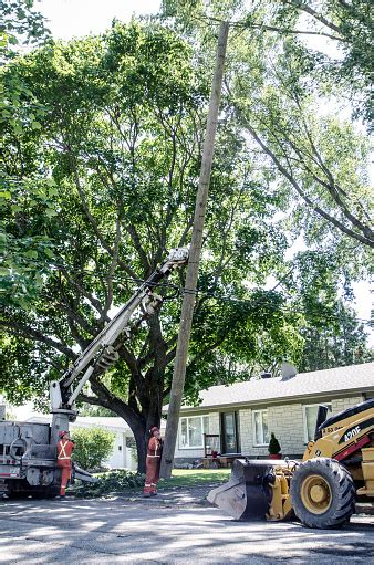 Installation Of An Electric Pole Stock Photo - Download Image Now - Adult, Adults Only, Backhoe ...