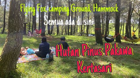 Hutan Pinus Pakawa Kertasari Hammock Flying Fox Camping Ground YouTube