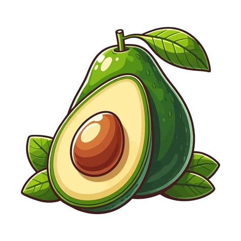 Premium Vector Avocado Vector Illustration