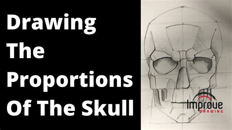 Drawing the Proportions of the Skull - YouTube