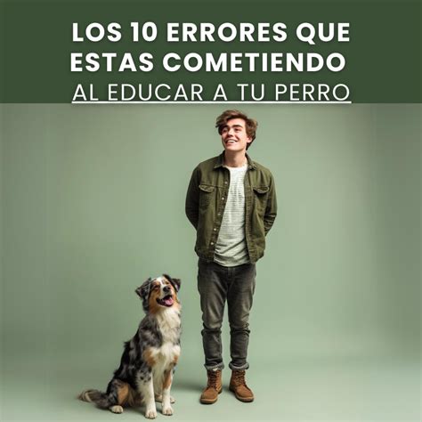 Los 10 Errores Que Estas Cometiendo Al Educar A Tu Perro Educanino