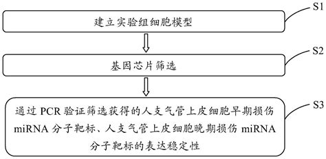 一组mirna作为氡暴露损伤诊断分子标志物的应用及筛选方法与流程