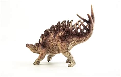 What Herbivore Dinosaurs Had Spikes On Its Tail Dinosaur Facts For Kids