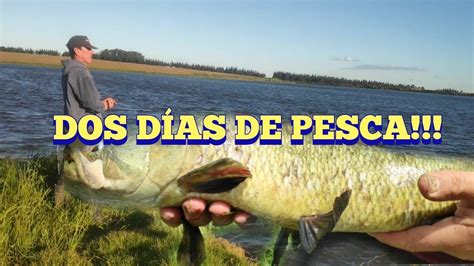 Dos Días De Pesca En Pesca En Agua Dulce Youtube