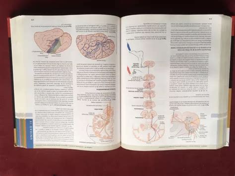 Tratado De Fisiologia Medica Guyton Y Hall Va Edicion En Venta En