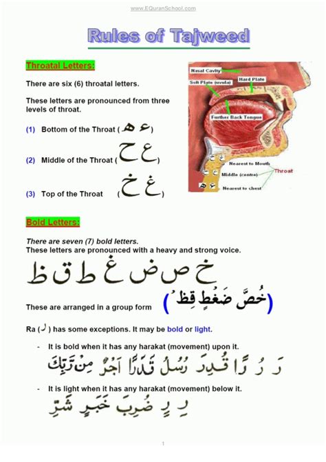 Tajweed Rules Learn Quran With Basic Rules Of Tajweed Learn Bol