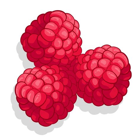 Ilustración De Fruta Dulce De Frambuesa Para Web Aislado Sobre Fondo