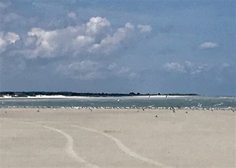 Huguenot Memorial Park, a Jacksonville, Florida hidden beach treasure ...