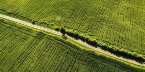 Premium Ai Image An Aerial View Of A Country Road With A Green Field