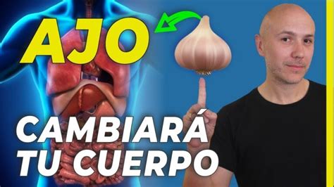 Guía completa Cómo tomar correctamente las cápsulas de aloe vera para