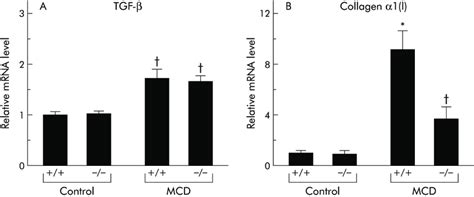 Effect Of Tumour Necrosis Factor Receptor Tnfr Deficiency On Liver