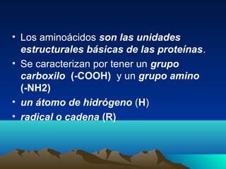 Bioquimica De Amino Cidos Ppt