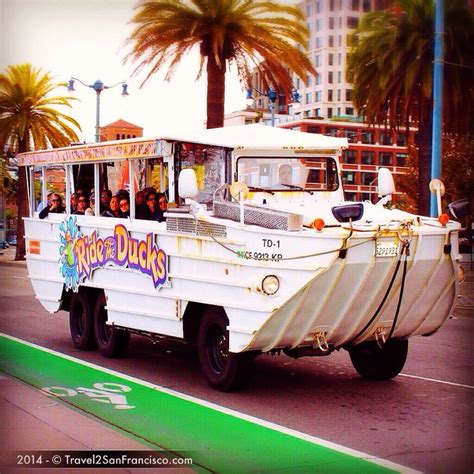 Fun Ride That Will Bring You Sightseeing In The City Of San Francisco