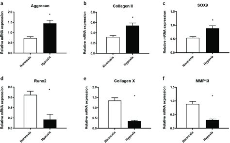 Hypoxia Promoted The Chondrogenic Differentiation And Prevents The