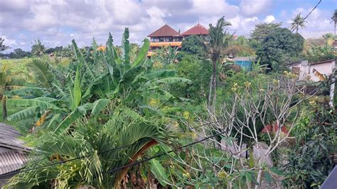 Sampai Bali Di Sambut Hujan Deras A Day In Bali Indonesia Youtube