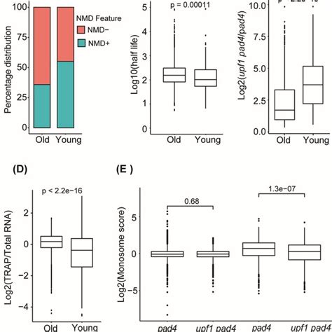 Nonsense Mediated Rna Decay Nmd Post Transcriptionally Regulates The