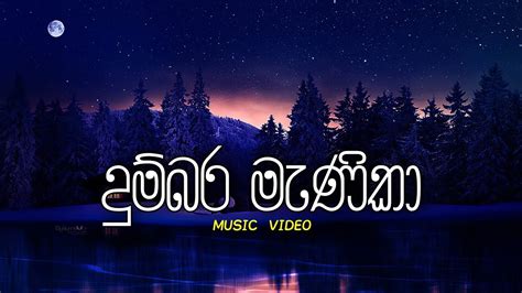 දුම්බර මැණිකා Dumbara Manika Music Video Chavee Bro Youtube