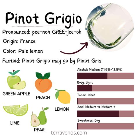 Pinot Grigio A Comprehensive Guide T Rravenos