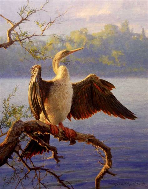 gallery andrew tischler wildlife paintings wildlife art fine art