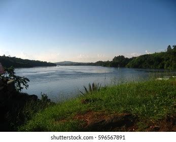 Nile River Source Uganda Stock Photo 596567891 | Shutterstock