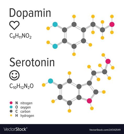 Boost Your Mood With Dopamine And Serotonin Hormones