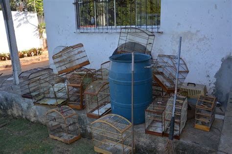 Cetas de Vitória da Conquista recebe cerca de 300 animais apreendidos