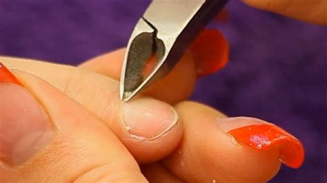 Cuticle Of Nail Meaning Nail Ftempo