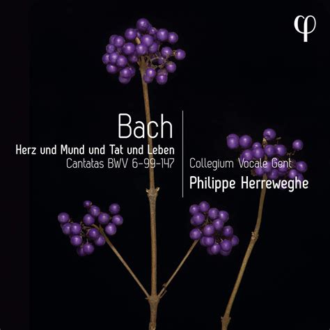 Collegium Vocale Gent Philippe Herreweghe Herz Und Mund Und Tat Und