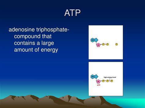 Ppt Biochemistry Powerpoint Presentation Free Download Id5746132