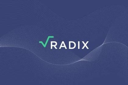 case study website design radix