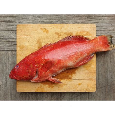 FRESH CORAL TROUT WHOLE FILLET Mysite