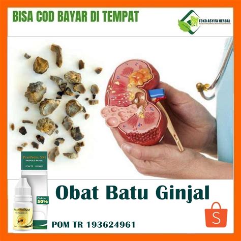 Jual Obat Batu Ginjal Obat Penghancur Batu Ginjal Herbal Penghilang