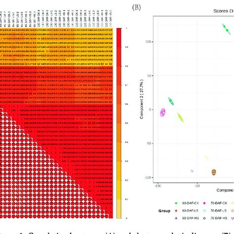 Correlation Heat Map A And Cluster Analysis Diagram B Of The Samples Download Scientific