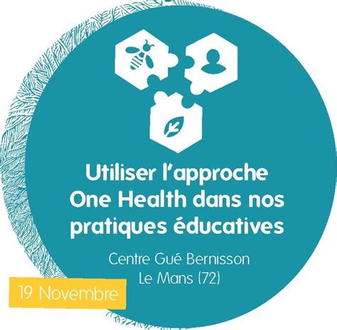 Utiliser Lapproche One Health Dans Nos Pratiques Ducatives